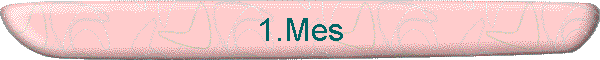 1.Mes