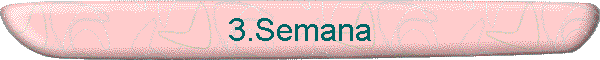 3.Semana
