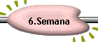 6.Semana