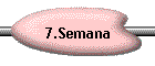 7.Semana